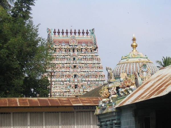 13. బెల్లం సమర్పిస్తాడు