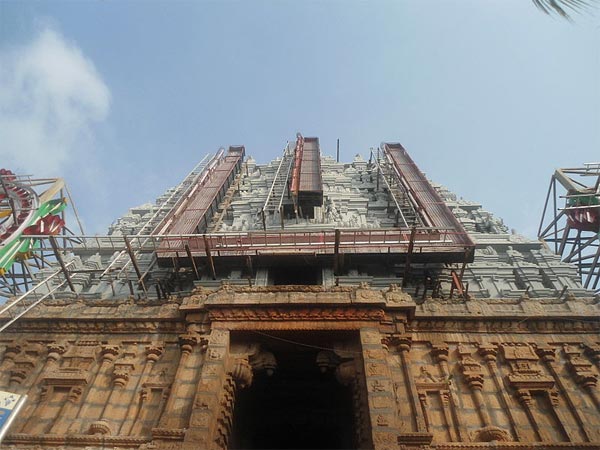 ఆ గుహ జాడ తెలుసుకుంటే భూ భాగంలో సగం..