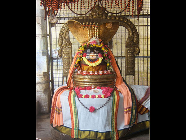 9. తిమేవకాయ్ అని కూడా