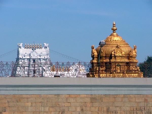 ఆ గుహ జాడ తెలుసుకుంటే భూ భాగంలో సగం..