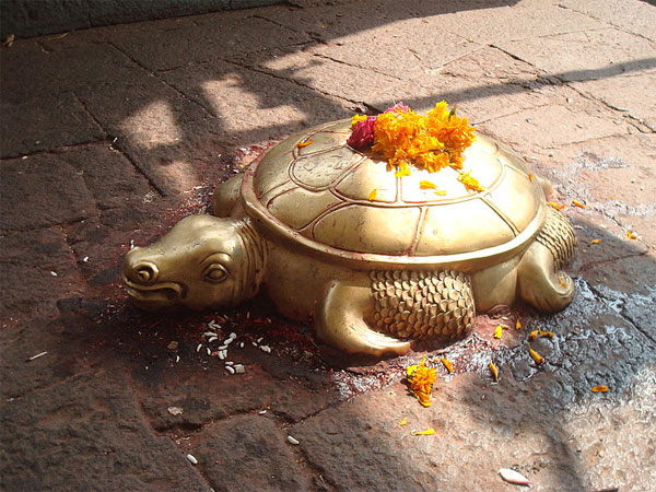 19. రవాణా వసతి ఇలా