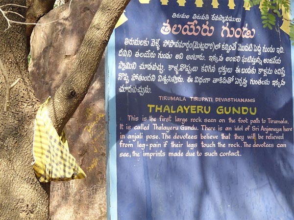 ఆ గుహ జాడ తెలుసుకుంటే భూ భాగంలో సగం..