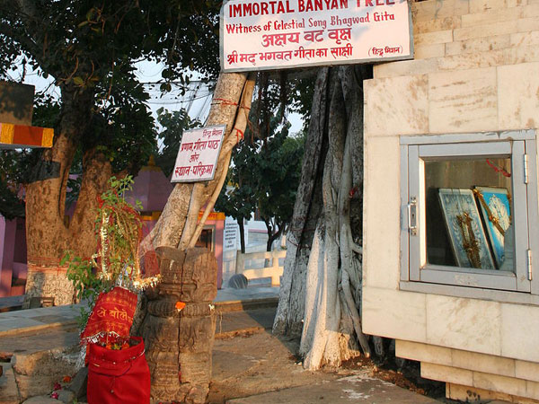 21. వాతావరణం ఇక్కడ ఇలా