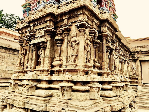 5. 24 రూపాలు