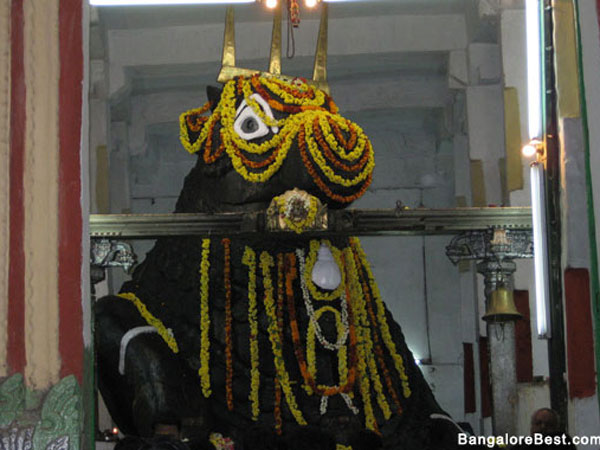 6. బుల్ టెంపుల్