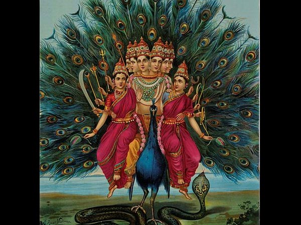7.జ్జానం పెరుగుతుంది
