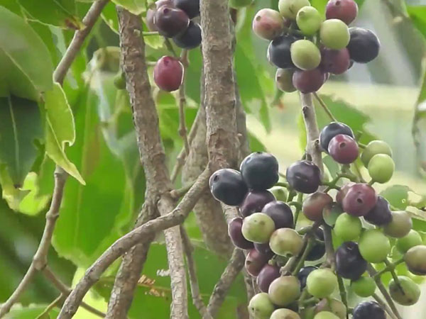 8. మనం ఇప్పటికీ
