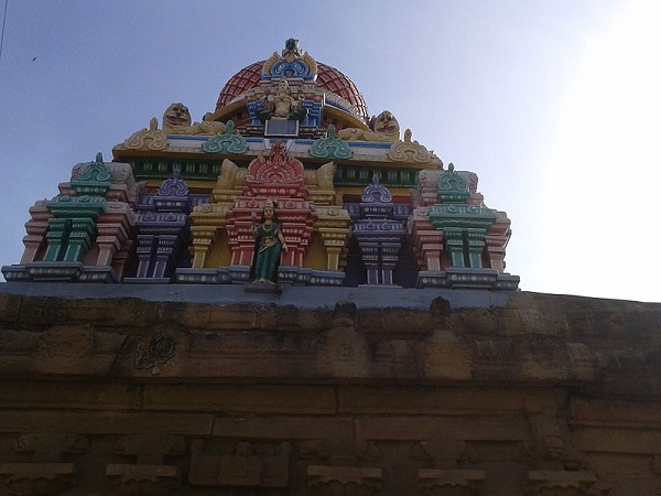 9. 30 అడుగుల ఎత్తు