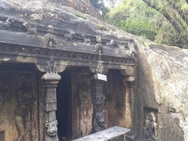 9. గాడిదలు, గద్దలు