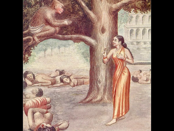 14.రావిచెట్టు సాక్షం
