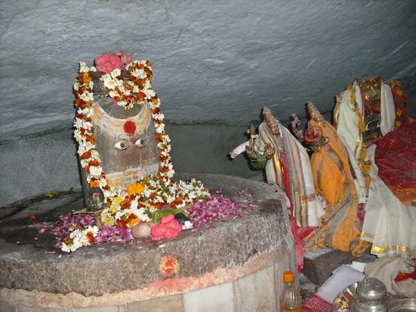 జడల వంటి నిర్మాణం