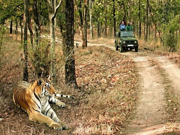 మదుమలై