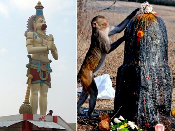 101 శివలింగాల రూపంలో