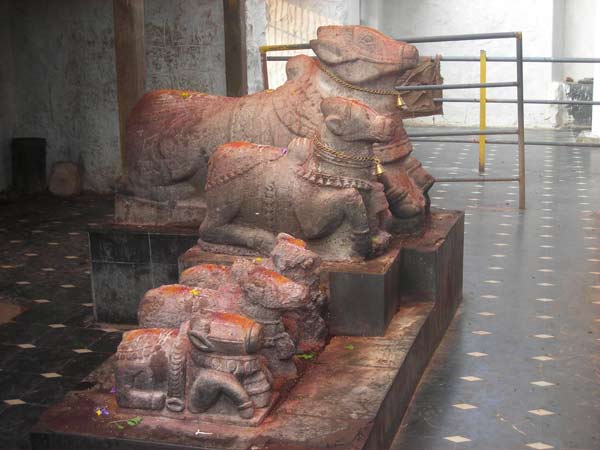 12. పెరిగి పోతూ ఉంటుంది