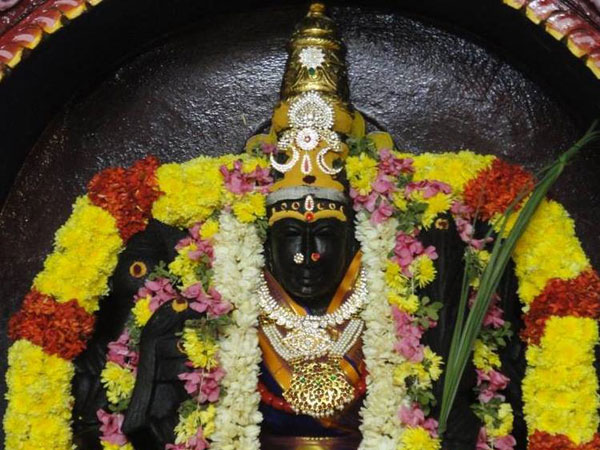 15. కొడిముద్దు