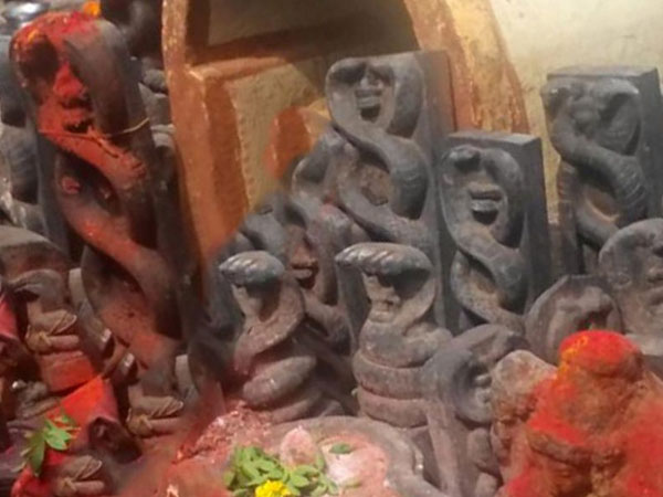 18. సర్పదోష నివారణ