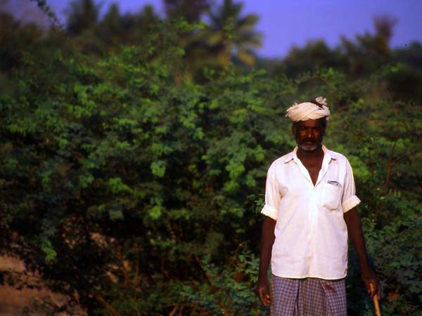 2. బకుళారణ్యం