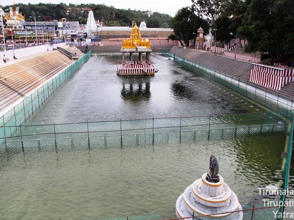 స్వామి వారి పుష్కరిణి