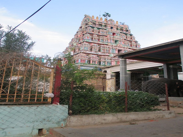20 కన్యాదానం చేస్తున్నట్లు