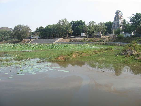 20 ఎలా వెళ్లాలి..