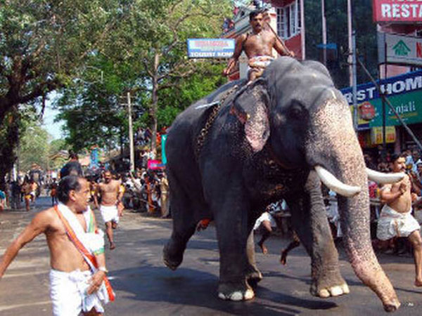 20. పున్నత్తూర్ కోటలో