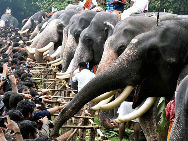 22. కేశవన్ విగ్రహం