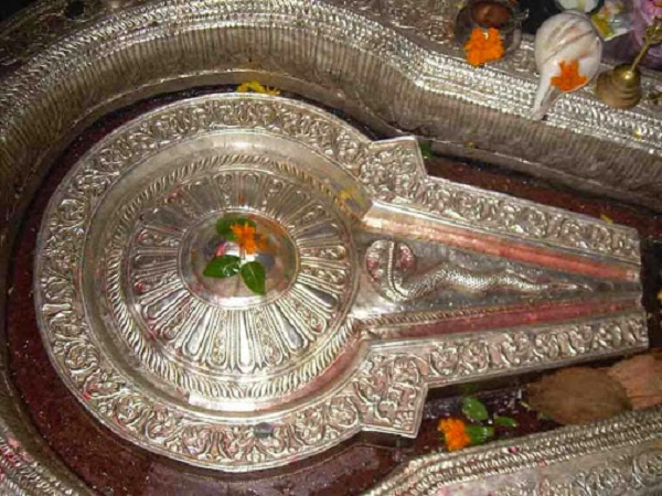 4. కర్కటి చెబుతుంది