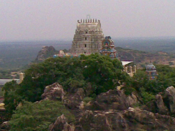 4. వేదగిరి నరసింహుడు