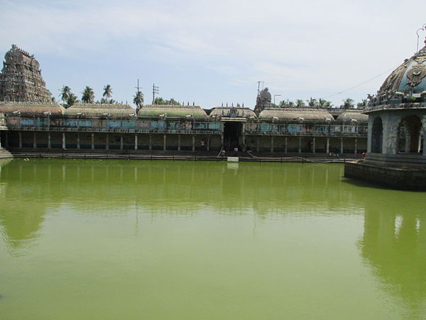 6. వివాహం కానివారు