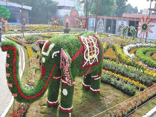 టీటీడీ ఉద్యానవనం