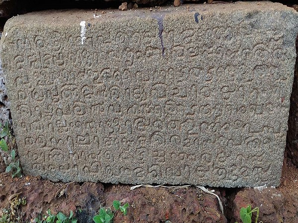 7. బుధవారం