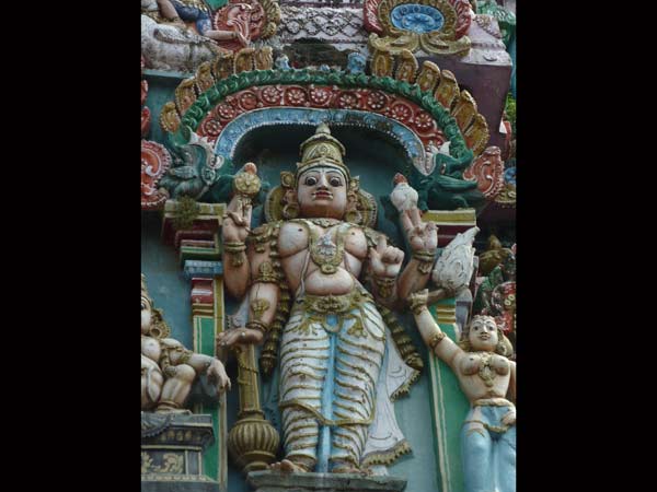 భూ పొరల్లో కొద్దిసేపు దాక్కొంటాడు