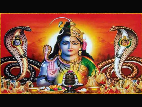 8. అర్థనారీశ్వర రూపం