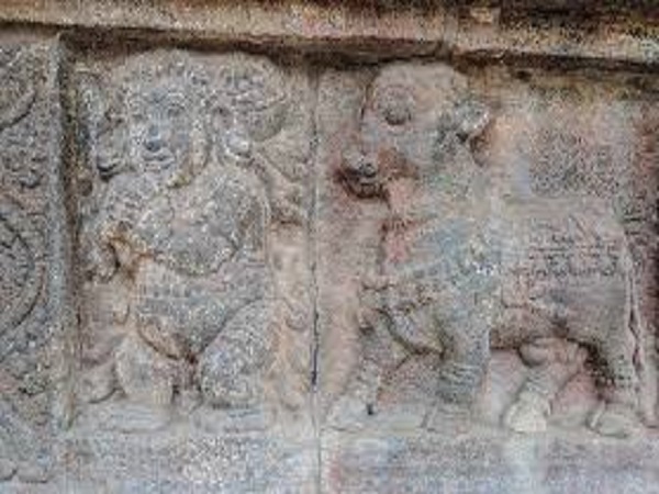ఉద్యోగ రీత్య వేర్వేరు చోట్ల