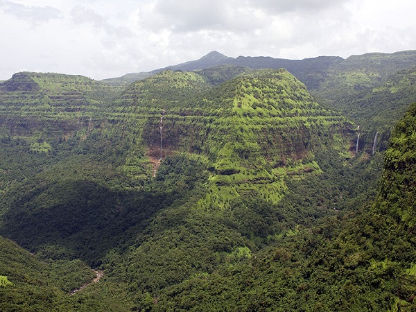 19.ఎక్కడ ఉంది