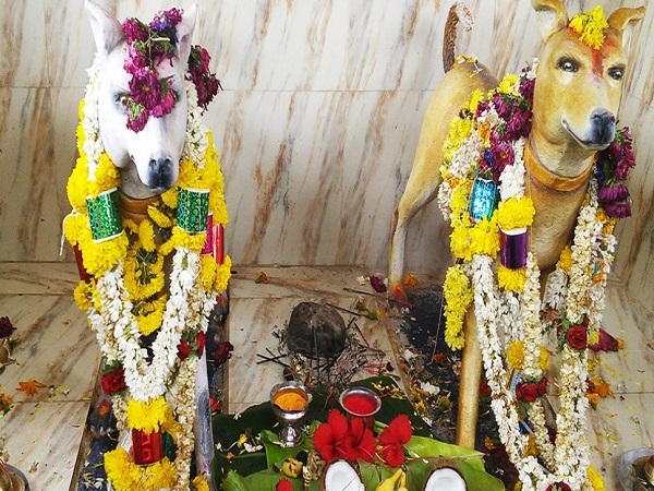 శునక దేవాలయం.