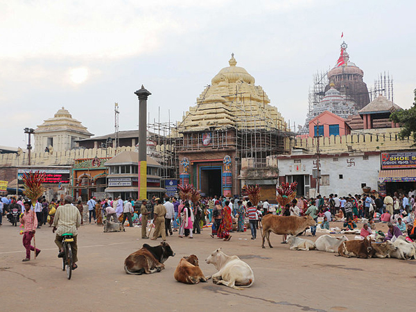శ్రీ కృష్ణుడి దేవాలయలు