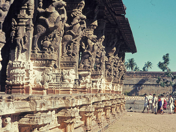 అత్తి చెక్కతో