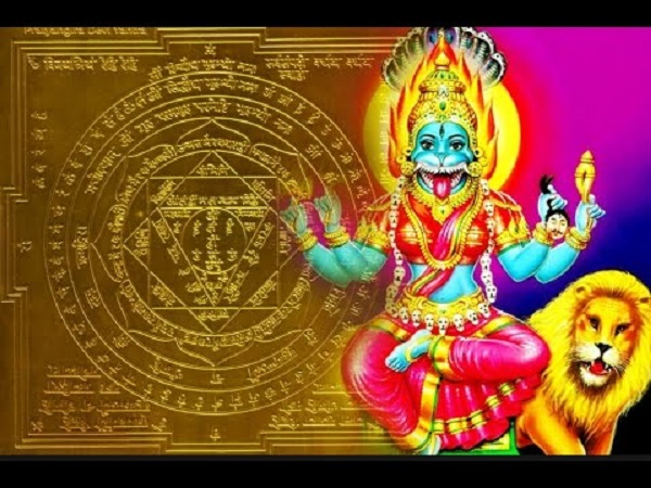 ఎండు మిరప కాయలు