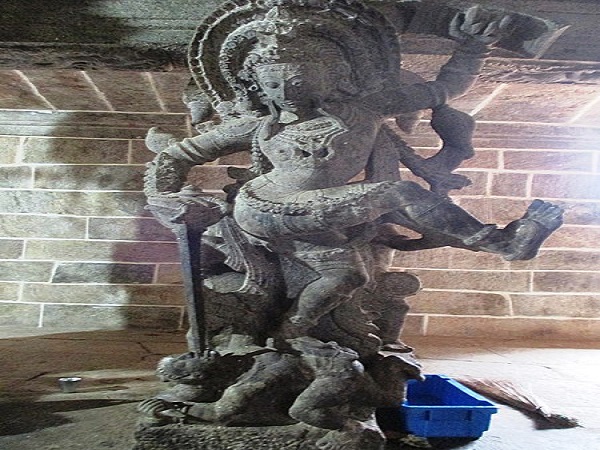 పూర్తిగా వ్యతిరేకం