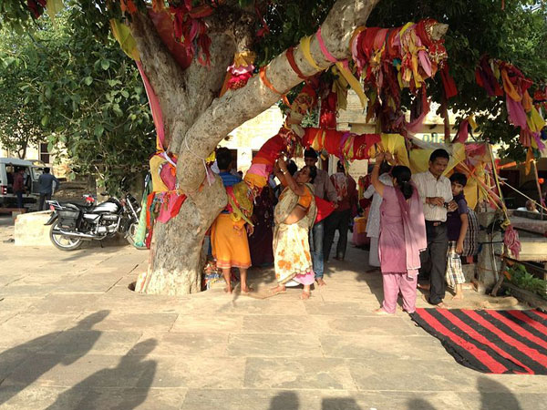 సేవా కుంజ్