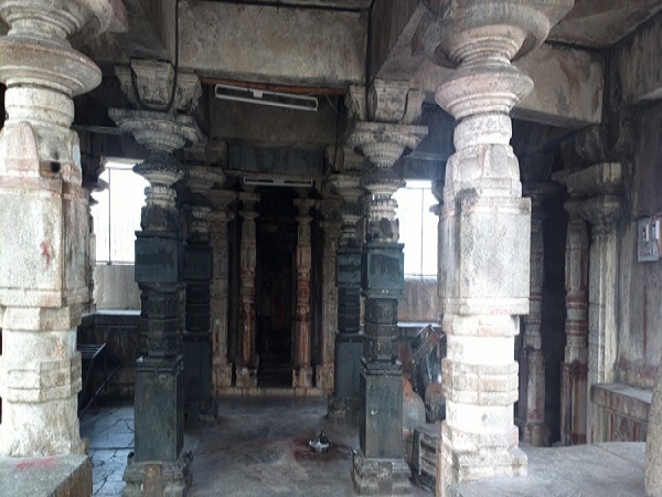 నమూనాలు