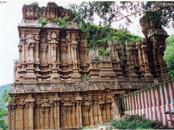 కారణం ఏమిటన్నది తెలియదు