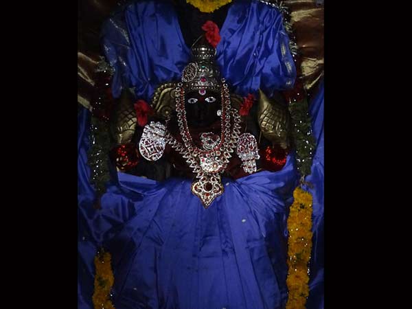 అమ్మవారిని సింహ వాహనం పై