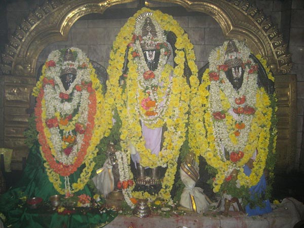 పచ్చటి అడువుల మధ్య