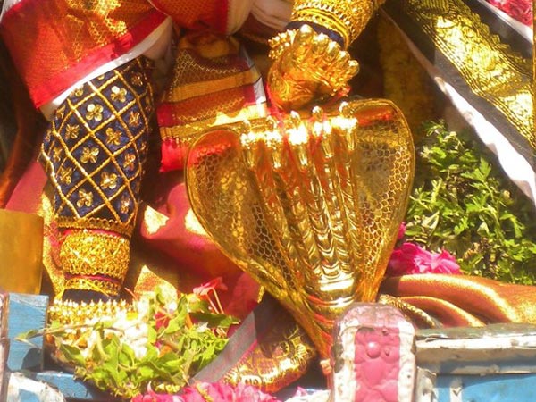 ప్రళయానికి ముందే