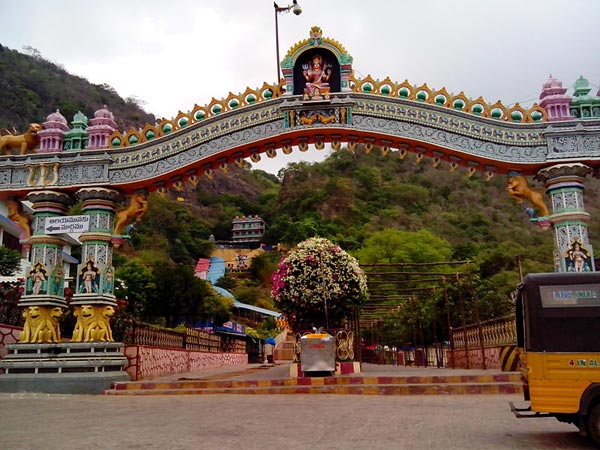 బిడ్డకు ఏమీ కాదు