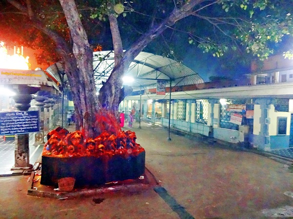 భరద్వాజ మహర్షి