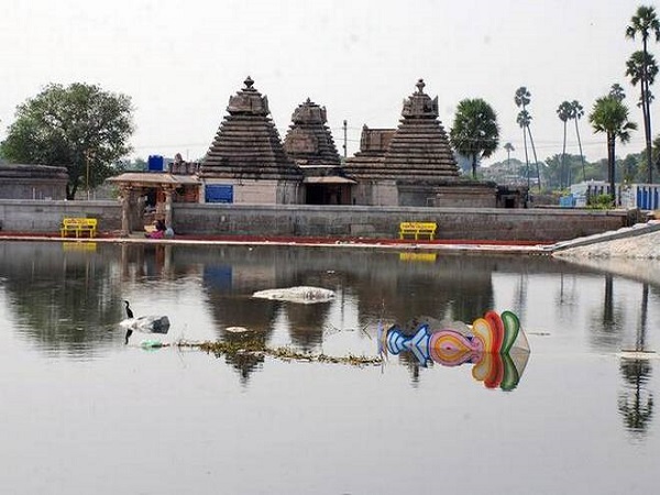 ప్రతాపరుద్రిని శాసనం