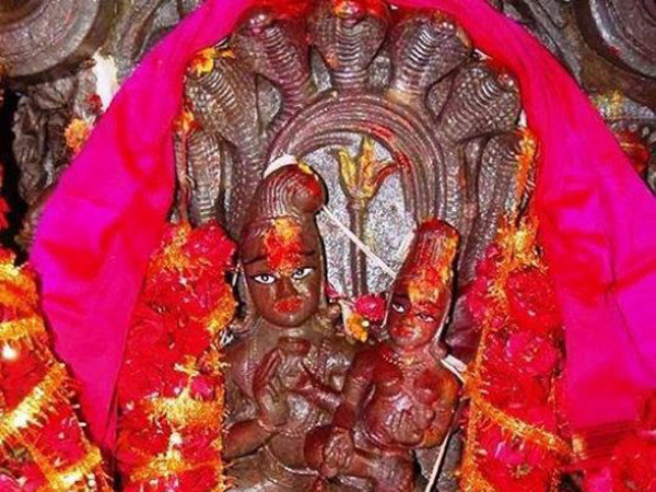 ప్రపంచంలో మరెక్కడా కనిపించదు